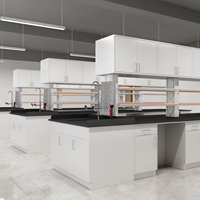Banc de laboratoire universitaire tout acier, poste de travail latéral pour l'enseignement et la recherche scientifique en collège, mobilier de laboratoire