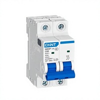 Disjoncteur domestique Chint NBDP-125 1P C100 MCCB 400V, protection contre les surintensités et les surcharges, montage sur rail, pouvoir de coupure 10kA