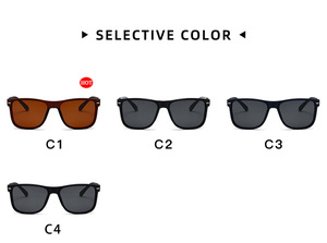 Lentes de Sol Cuadrados Extra Grandes Lmamba 6031 con Logotipo Personalizado, Decoración Metálica, para Hombre y Mujer, 2024, Retro Clásicas, Polarizadas - Product Image 6