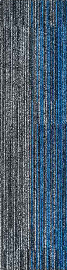 Gris4