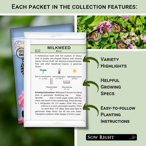 Collezione Classica di Pomodori Non-OGM da Coltivazione Casalinga Include Cherokee Purple per Piante a Fiore Grande - Product Image 2