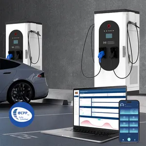 Commerical 100kw 120kw livello 3 stazione di ricarica CCS2 CCS1 CCS DC veloce EV caricabatterie per auto