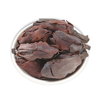 Bunga Magnolia Hou Po Hua / Kuncup Bunga Magnolia Officinalis / Bunga Magnolia Houpu