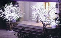 China Hersteller Outdoor und Indoor Weihnachts dekoration führte Weihnachts licht
