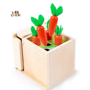 HOYE CRAFTS 4 in 1 wooden activity cube carrot harvest game Montessori coin box
