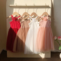 Robe d'été pour filles, style nouveau 2025, bretelles roses, douce et élégante, robe de plage princesse, tissu en maille ODM