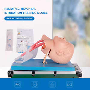 Mô hình huấn luyện y tế ADA-J4A dành cho sinh viên học <span class=keywords><strong>CPR</strong></span> đường thở người và đặt nội khí quản trẻ em, chất liệu PVC, dùng cho trường học - Product Image 2