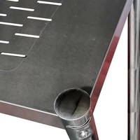 Table de Travail Auto-Nettoyante en Acier Inoxydable 201/304 pour Cuisine Commerciale, Étagère de Rangement et Présentation, Charge 300kg/m² - Offre Spéciale