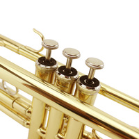 Hot Selling Brass B-flat Trumpet for Beginners