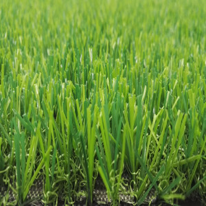 Meisen gazon <span class=keywords><strong>synthétique</strong></span> coloré pour jardin, parc, paysages, toit, <span class=keywords><strong>balcon</strong></span>, terrasse, sol, tapis d'herbe verte - Product Image 4