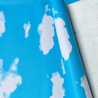 Wallpaper Langit-Langit Motif Awan Anti Lembab Kamar Tidur Asrama Universitas Kamar Anak Kain Nonwoven Perekat Sendiri Gaya Eropa