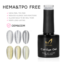 Vernis à ongles gel magnétique effet œil de chat DZ 15ml, non toxique, longue tenue, vente en gros, fourniture d'usine