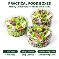 Boîte jetable en plastique PET pour fruits et légumes avec couvercle ventilé, capacité 500-750g, 240 pièces/carton, pour usage agricole