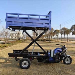 Nouveau style tricycle motorisé de transport de marchandises 250cc 350cc, tricycle à essence et électrique à 3/5/9 roues à vendre - Product Image 6