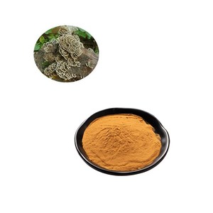 Polvo para la salud, cola <span class=keywords><strong>de</strong></span> pavo, Coriolus <span class=keywords><strong>Versicolor</strong></span>, polvo <span class=keywords><strong>de</strong></span> hongos para alimentos, cola <span class=keywords><strong>de</strong></span> pavo, Trametes <span class=keywords><strong>Versicolor</strong></span>, polvo <span class=keywords><strong>de</strong></span> micelio - Product Image 3