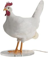 Nouvelle lampe de poule lumineuse réaliste 2023, lampe de poule pondeuse 3D, lumières de nuit pour œufs de Pâques pour la chambre des enfants