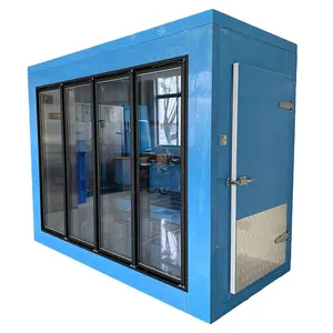 Equipo de refrigerador comercial puerta de vidrio paseo en refrigerador congelador puerta de vidrio