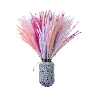 CallaFloral Herbe de la Pampa Artificielle Fleurs Séchées Branche Unique Champagne Rose Clair Rouge Rose Orange Décoration Mariage Maison - Product Image 5