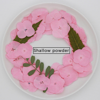 Fleurs d'hortensia séchées et pressées, naturelles et authentiques, pour la création de cartes et de bijoux en résine, présentées sous cadre.