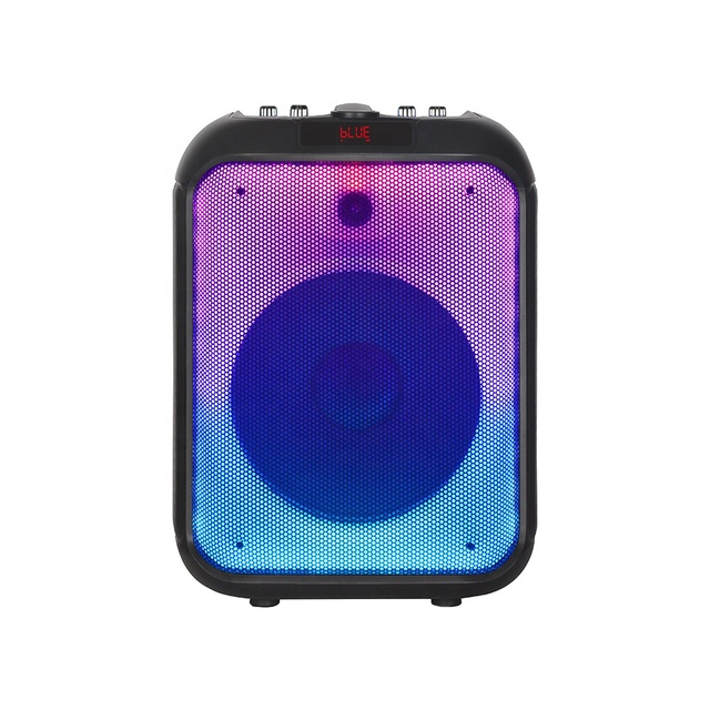 Hot-selling Portable 12 Inch BT Speaker with Wireless Mic and LED Stand,Excellent Sound Quality NDR-102B