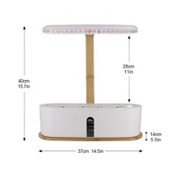 Kit de culture hydroponique intelligent d'intérieur HOMEJOY Aero Smart Hydroponics Led, mini jardin domestique pour la germination des légumes, spectre complet 72 pièces blanc