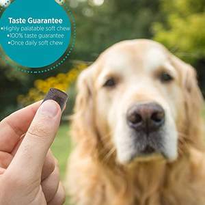 Golosinas masticables de mejillón de labios verdes para perros-con glucosamina natural para apoyar la salud de las articulaciones Mobilit - Product Image 6