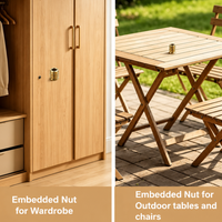 Advanced Zinc Plated Threaded Insert Nut Wood Fastener with Durable Structure for Cabinet and Wooden Panel Assembly