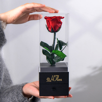 Rose éternelle naturelle préservée en gros pour la Saint-Valentin, les remises de diplômes ou Noël, avec tige et boîte en acrylique (longue durée 3-5 ans)