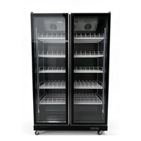 Réfrigérateur commercial à double porte vitrée pour boissons, vitrine réfrigérée, économie d'énergie, refroidisseur de boissons pour bar, restaurant, commerce de détail