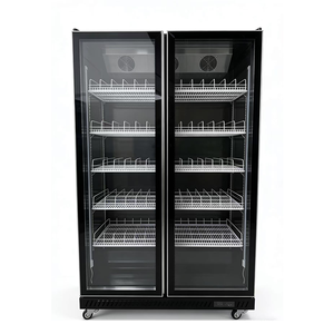 Réfrigérateur commercial à 2 portes vitrées pour boissons, vitrine réfrigérée à économie d'énergie pour bars, restaurants et commerces de détail - Product Image 3