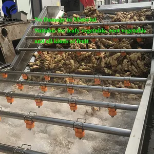 Low Water Consumption Apple Washer Machine Dragon Fruit Fresh Moringa Leafy Vegetable Washing Machine