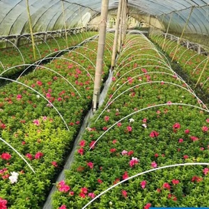 Que sợi thủy tinh nông nghiệp vòm đổ khung nhà kính thực vật que sợi thủy tinh cực vòm nhỏ đổ - Product Image 4