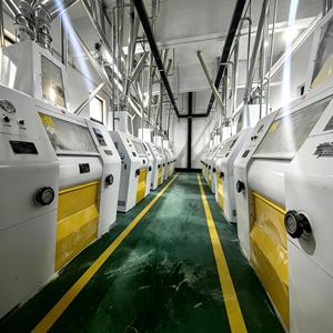 Moulin à farine de <span class=keywords><strong>blé</strong></span> 100TPD, conception mobile <span class=keywords><strong>et</strong></span> portable pour le traitement du <span class=keywords><strong>blé</strong></span> sur site, à la ferme, au dépôt de céréales, pour la vente au détail <span class=keywords><strong>et</strong></span> la distribution en vrac - Product Image 1