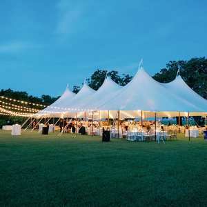 Tente de réception blanche pour mariage en extérieur, 5 parois latérales amovibles, gazebo, bache pour événements, tentes pour événements intérieurs et extérieurs - Product Image 5