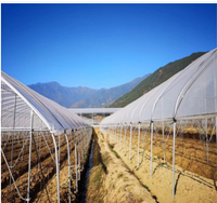 Serre agricole commerciale de petite taille à simple travée, film PE, couverture en polycarbonate, structure en acier galvanisé à chaud, stable