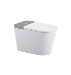 Самоочищающийся унитаз - Product Image 1