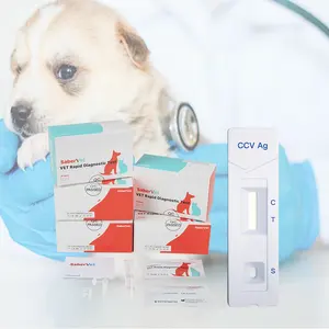 Diskon besar harga pabrik alat uji cepat Antigen ccv Coronavirus medis diagnostik penyakit hewan peliharaan untuk anjing