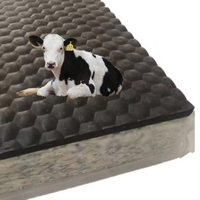 Matelas en caoutchouc pour vaches, durable, antidérapant, pour l'élevage laitier, litière pour bétail, matelas de repos imperméable pour bovins