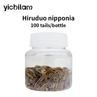 Sangues de sangsues vivantes de haute activité pour usage médical, qualité naturelle, quantité personnalisée, Hirudo vivant pour extraction de plantes médicinales