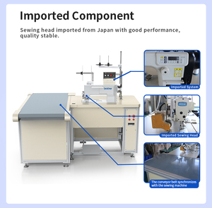 EISENKO RD-PFJ100 Máquina de coser cortinas flexible pequeña, nueva, 220V, con formación de puntada de cadeneta, de cama plana, automática y multifunción - Product Image 4