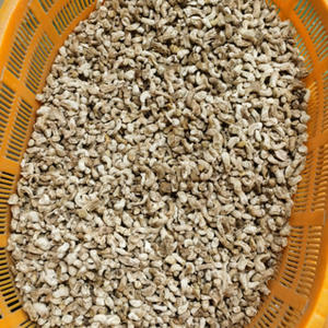 Корни <span class=keywords><strong>Shiitake</strong></span>, оптовая продажа, чистые сушеные стебли <span class=keywords><strong>shiitake</strong></span> для продажи - Product Image 3