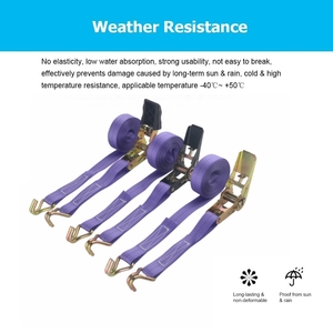 <span class=keywords><strong>Correa</strong></span> de Amarre Retráctil Automática de 1 Pulgada (25 mm), 1000 kg, Resistente, de Polipropileno y Poliéster, con Certificación CE, con Ganchos J/S - Product Image 2