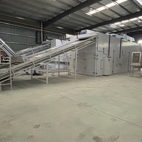 Séchoir à convoyeur automatique pour aliments, machine à sécher les oignons, machine à sécher le gingembre, ligne de production de séchage continu des légumes