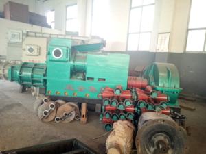 BaoShen Ziegel herstellungs maschinen für Kapazität 50000 Ziegel eintägige Kapazität Anlage - Product Image 2