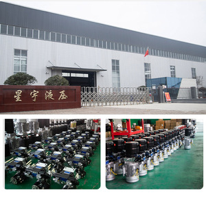 Fabricant chinois propose un vérin à piston à double <span class=keywords><strong>action</strong></span> hydraulique à bas prix. - Product Image 6