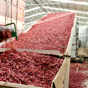 Ligne de séchage entièrement automatique pour piments, sécheuse à bande maillée avec PLC et engrenages, équipement de déshydratation pour la transformation alimentaire - Product Image 1
