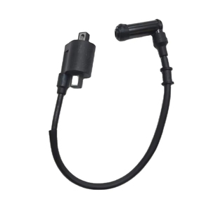 Bobina de Encendido para Motores de 300CC, 250CC, 190CC, 150CC, Bobina de Encendido Sin Restricciones para Motocicletas Todoterreno GUADI <span class=keywords><strong>300</strong></span> - Product Image 1
