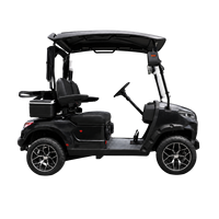 Voiturette de golf électrique 2 places tout-terrain, buggy à batterie lithium, voiturette de golf personnalisée pour parcours de golf et complexe hôtelier