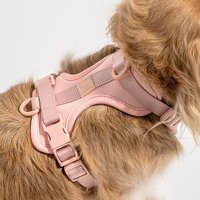 Aosheng Diseña tu propio logotipo personalizado y tamaño suave transpirable para perro gato mascota Navidad perro arnés para entrenamiento