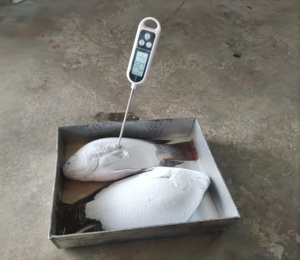 Phòng đông lạnh nhanh CO2, bảo quản hải sản, trái cây -85~-60 độ, kho lạnh di động, thiết bị làm lạnh container - Product Image 6